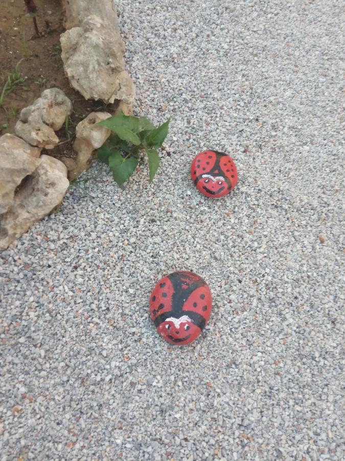 Εlegant Villa Liakos Pigí Kültér fotó