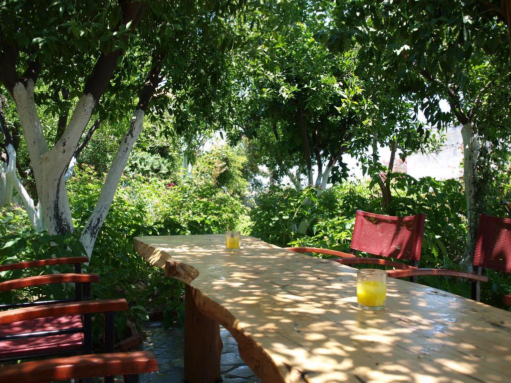 Εlegant Villa Liakos Pigí Kültér fotó